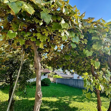 New Sunny 3-room With Parking And Air Conditioning *